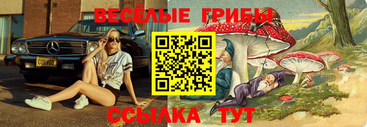 Псилоцибиновые грибы MAGIC MUSHROOMS Новокубанск