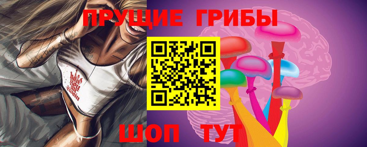 даркнет сайт  Псилоцибиновые грибы Psilocybine cubensis  Вход с VPN  Новокубанск 